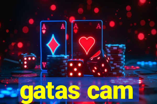 gatas cam